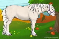 Horse Color:Cremello Varnish 