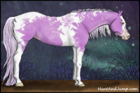 Horse Color:Gray Watercolor Silver Amber Champagne Splash Tobiano Appaloosa