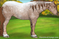 Horse Color:Chestnut Ice 