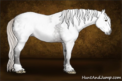 Horse Color:Gray White Spotted Silver Brown Frame 