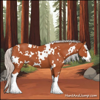 Horse Color:White Spotted Silver Bay Splash 