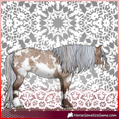 Horse Color:Painted White Spotted Silver Brown Roan Dun Frame 