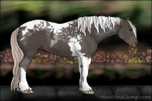 Horse Color:Silver Black Tobiano 