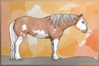 Horse Color:Silver Brown Roan Splash Frame 