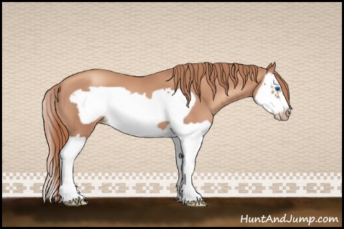 Horse Color:Gold Champagne Splash Frame 