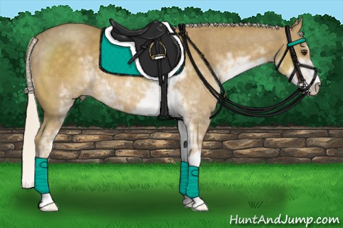 Horse Color:Palomino Sabino 