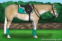 Horse Color:Palomino Sabino