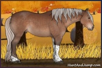 Horse Color:Silver Brown Tobiano
