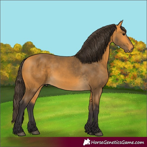 Horse Color:Buckskin 