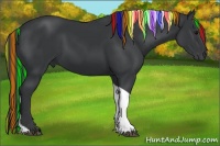 Horse Color:Painted Black Tobiano