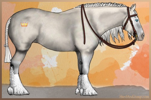 Horse Color:Cremello Dun Sabino Splash 