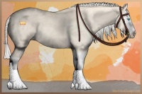 Horse Color:Cremello Dun Sabino Splash