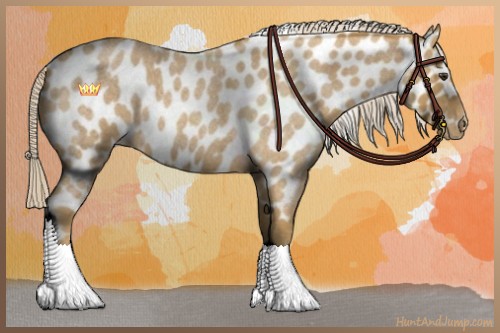 Horse Color:Palomino Roan Leopard 