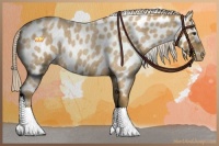 Horse Color:Palomino Roan Leopard