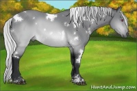 Horse Color:White Spotted Silver Brown Chinchilla 