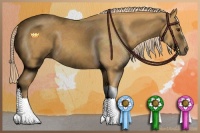 Horse Color:Palomino 