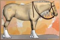 Horse Color:Palomino Roan 