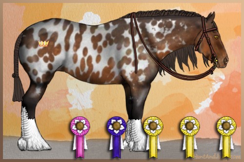 Horse Color:Buckskin Roan Near Leopard