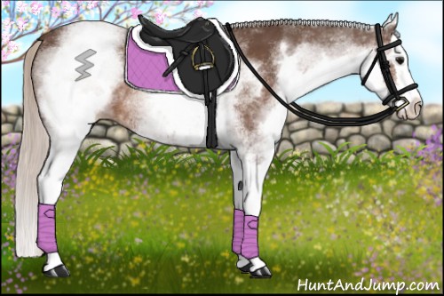 Horse Color:White Spotted Silver Black Splash