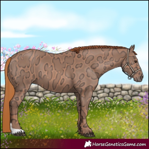 Horse Color:Chestnut Ice 