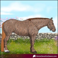 Horse Color:Chestnut Ice 