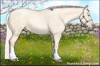 Horse Color:Silver Amber Cream Champagne Pearl 