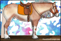 Horse Color:Silver Bay Roan Onyx 