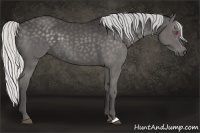 Horse Color:Silver Smoky Black Chinchilla