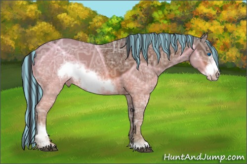 Horse Color:Painted Bay Ice Sabino Frame 