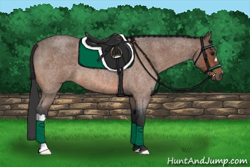 Horse Color:Bay Roan 
