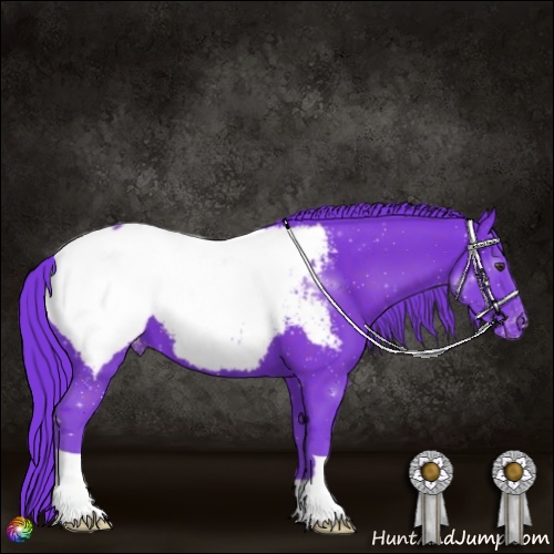Horse Color:Watercolor Liver Chestnut Snowcap 