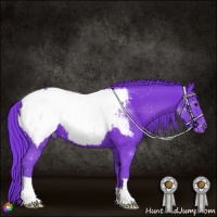 Horse Color:Watercolor Liver Chestnut Snowcap 