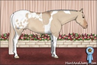 Horse Color:Red Dun Tobiano Blanket 