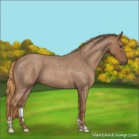 Horse Color:Red Roan 
