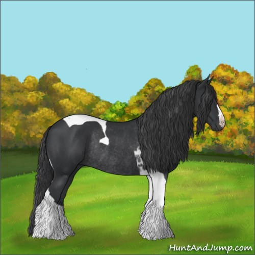Horse Color:Black Tobiano Rabicano 