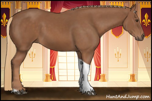 Horse Color:Chestnut Tobiano