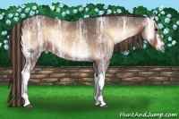Horse Color:Painted White Spotted Brown Ice Onyx