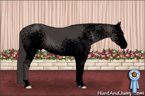 Horse Color:Void White Spotted Smoky Black 