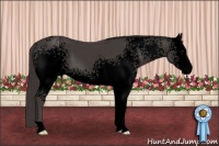 Horse Color:Void White Spotted Smoky Black