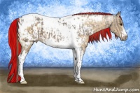 Horse Color:Painted Bay Ice Dun Tobiano Frame  and Buckskin Dun Tobiano Frame Appaloosa Rabicano 