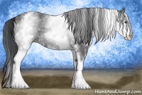 Horse Color:White Spotted Black 