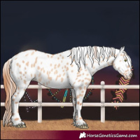 Horse Color:Gold Champagne Dun Leopard 
