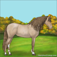 Horse Color:Blue Roan Pearl 