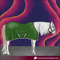 Horse Color:Black Snowcap Rabicano