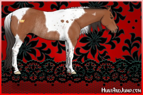 Horse Color:Bay Tobiano Rabicano 