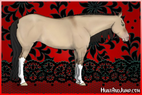 Horse Color:Gray Sable Champagne Dun 