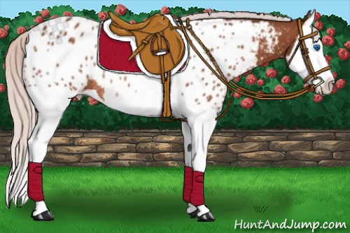 Horse Color:Silver Bay Splash Near Leopard Rabicano