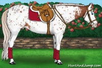 Horse Color:Silver Bay Splash Near Leopard Rabicano