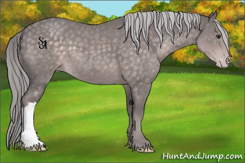 Horse Color:Platinum Chocolate Palomino Varnish