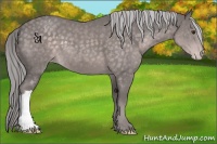 Horse Color:Platinum Chocolate Palomino Varnish
